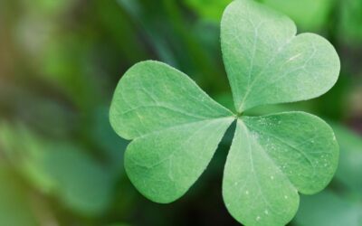 Create Your Own St. Patrick’s Day “Luck”